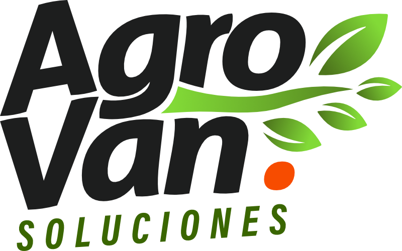 Fibras y Cepillos